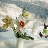 Daffodil（L）