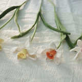 Daffodil（L）