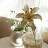 Lily