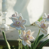 Daffodil（S）