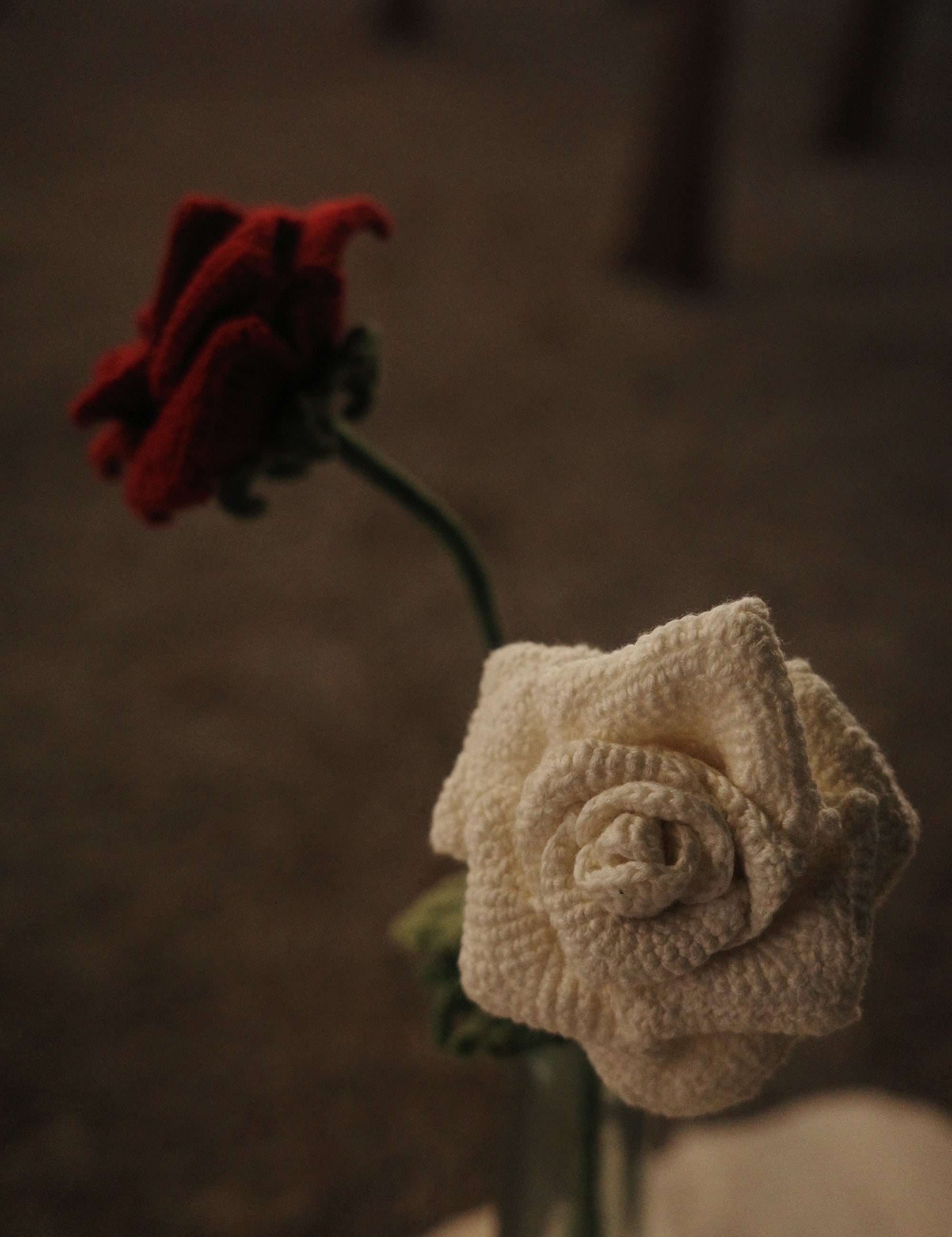  Rose