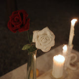  Rose