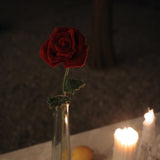  Rose