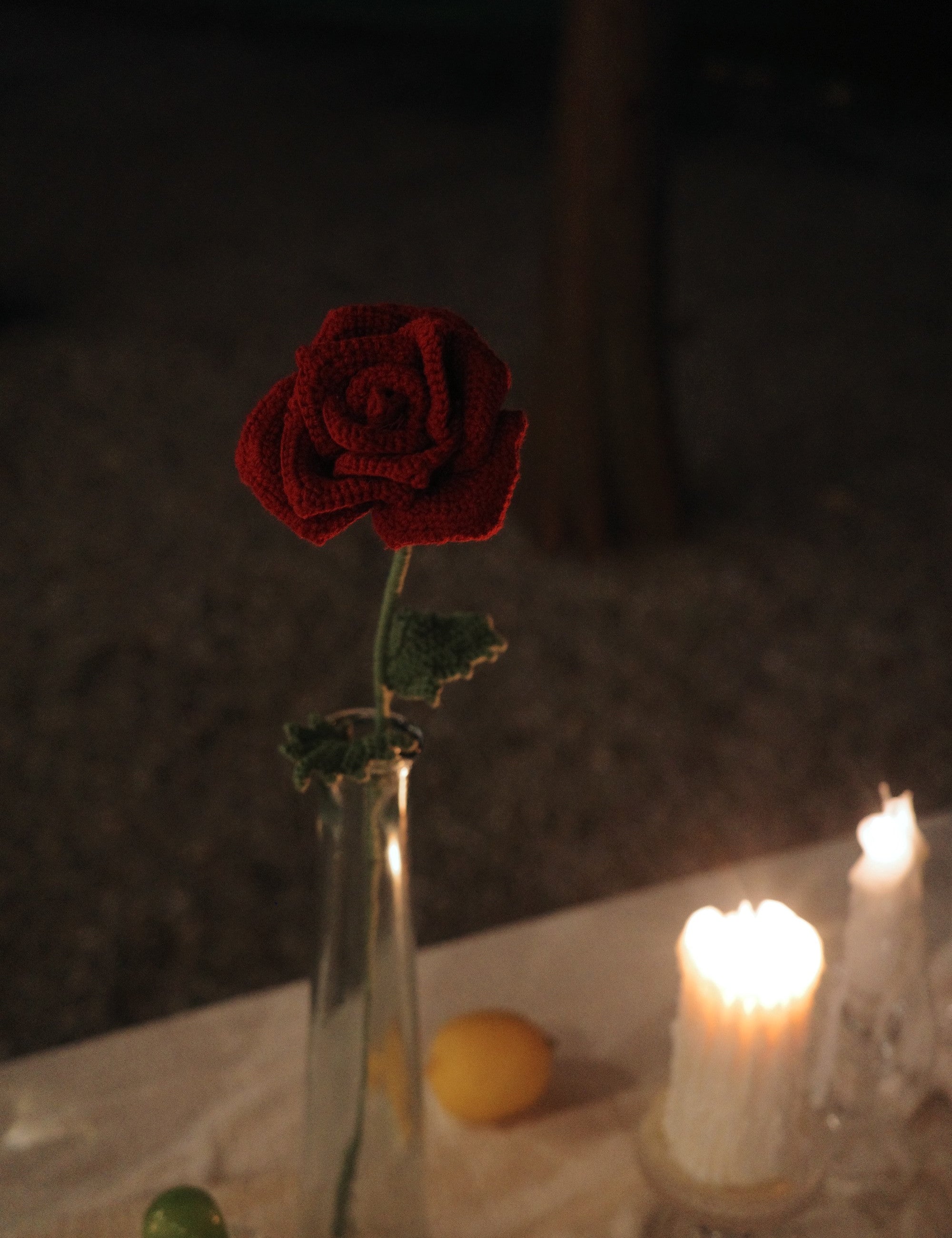  Rose
