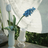  Grape Hyacinth