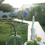  Grape Hyacinth