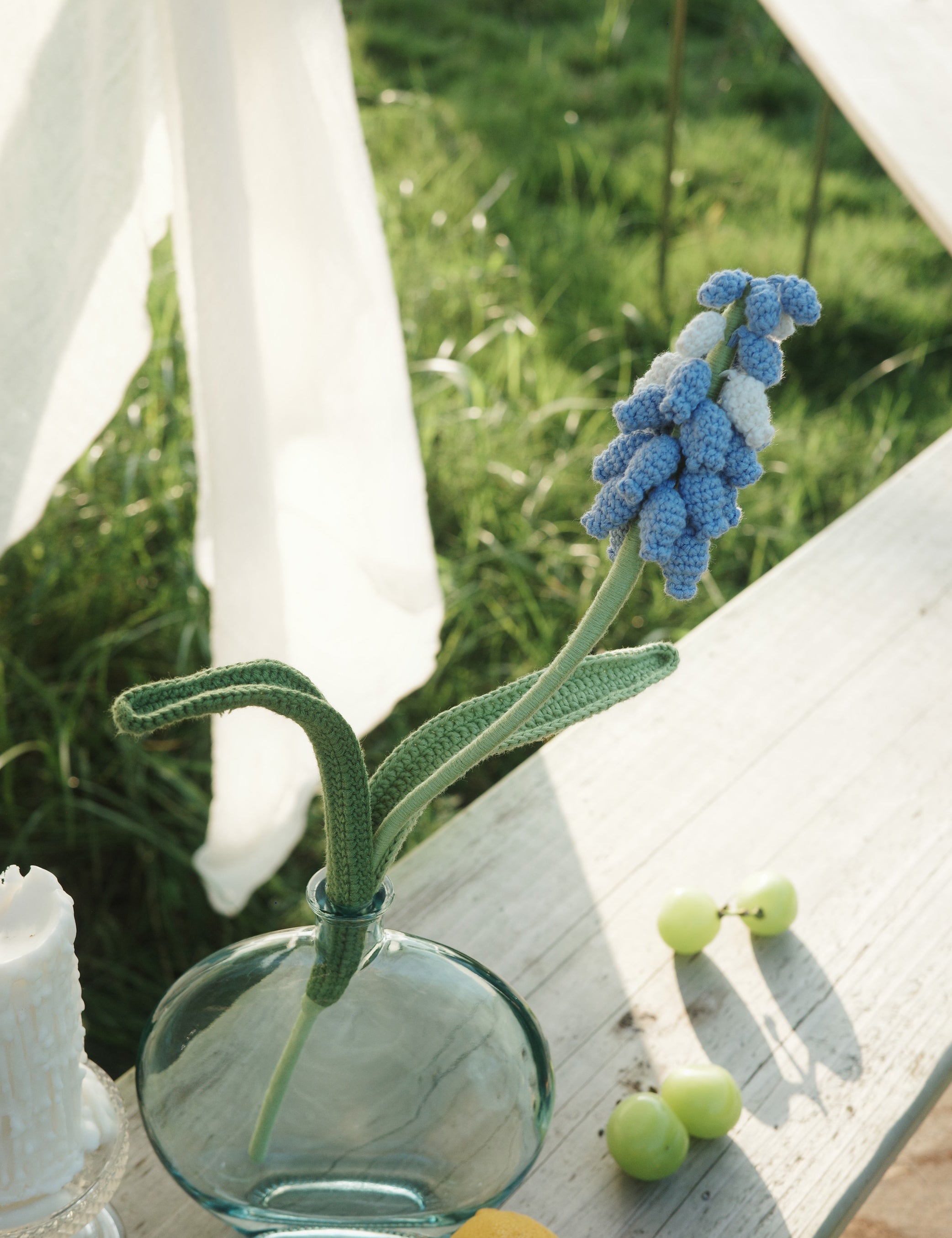 Grape Hyacinth