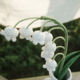 Lily of the valley