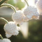 Lily of the valley