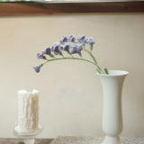 Freesia