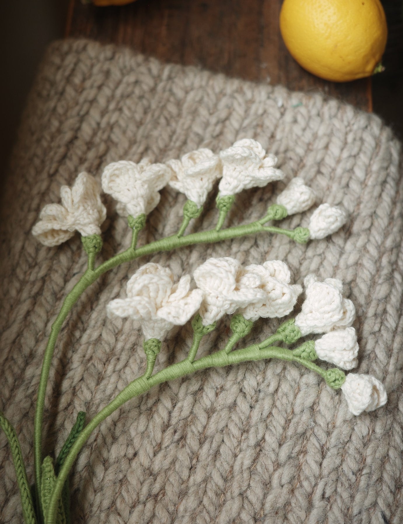 Freesia