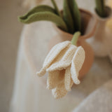 Tulip